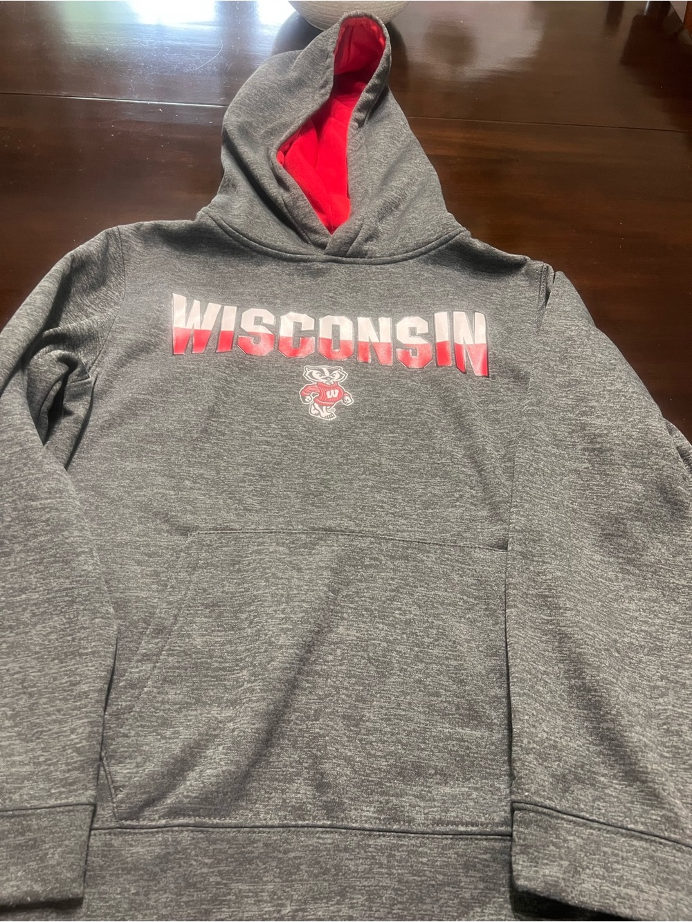 Campus Heritage Gray Hoodie with Red Lining